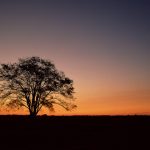 2018/08/16 FXのない日記